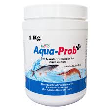 Probiotic Solution