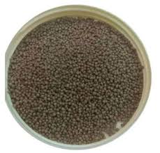 Starter Fish Feed